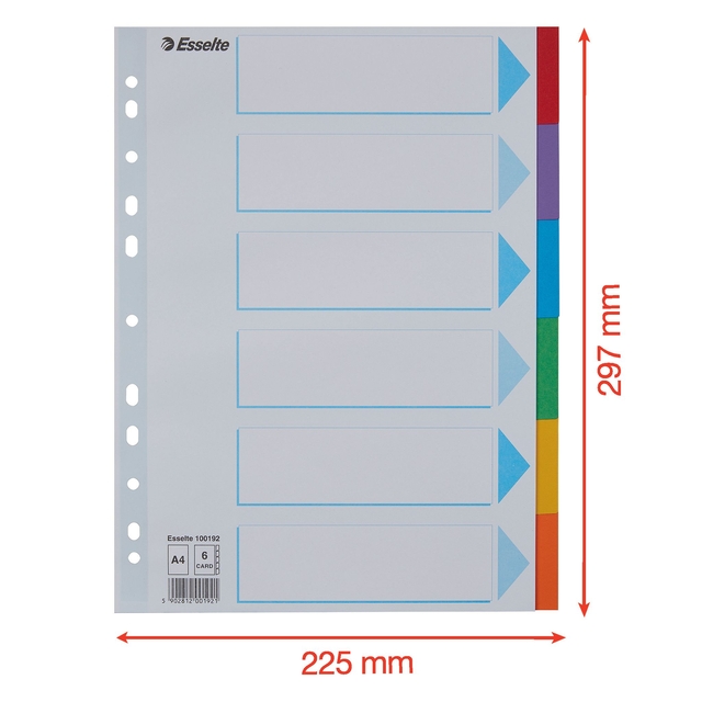 Tabbladen Esselte Standaard A4 6-delig karton 11-rings met voorblad assorti — Foto 2 von 2
