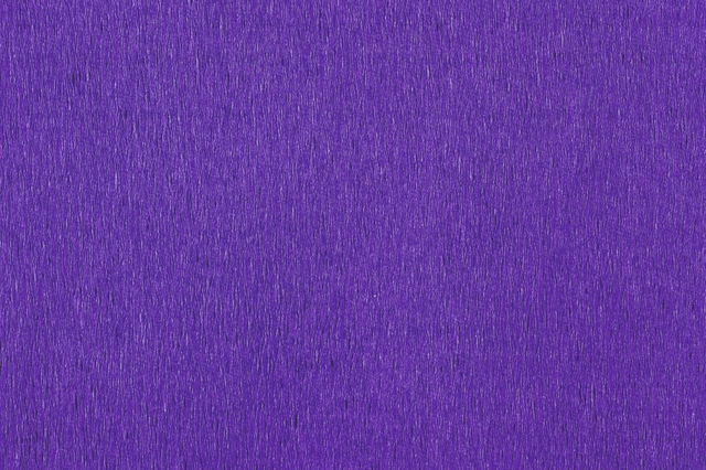 Crêpepapier Folia 250x50cm nr122 donker violet — Photo 2 sur 2