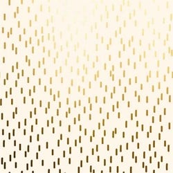 Apparaatrol Special Wrap 100mx30cm crème met goud