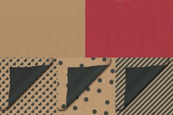 Cadeauzak Special Wrap kraft 12x19cm assorti