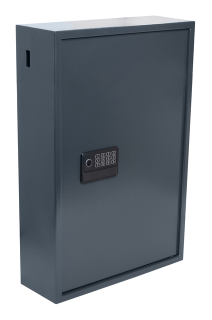 Sleutelkast Pavo High security Advanced 300 haken 650x410x250mm — Foto 2 von 2