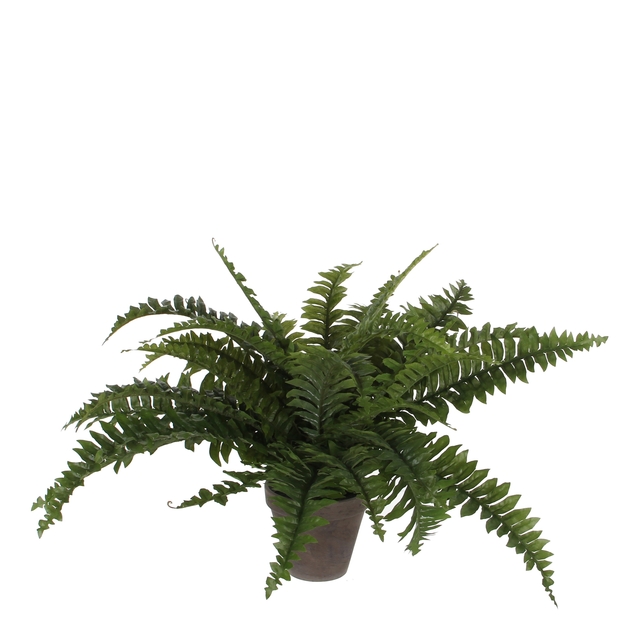 Kunstplant Mica Boston varen groen in pot Ø50cm 42cm
