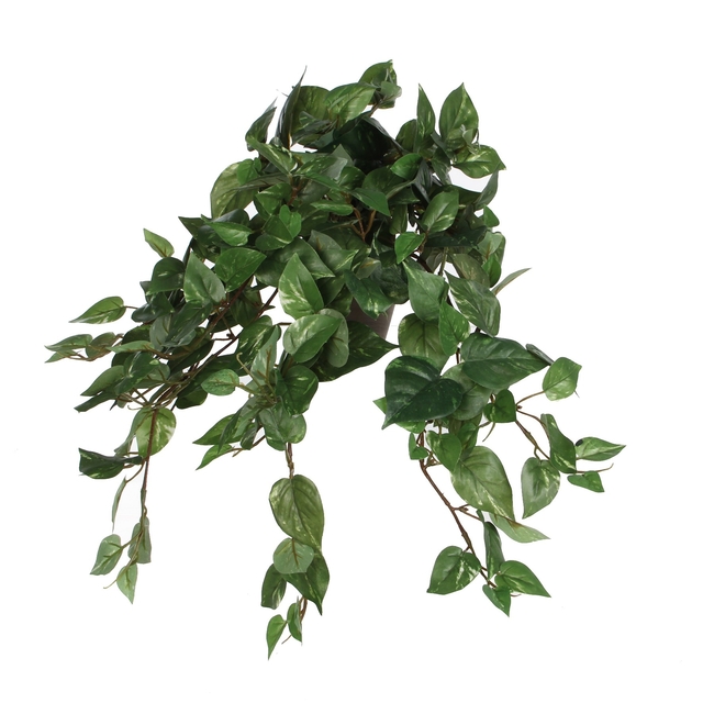 Kunstplant Mica Scindapsus hangend groen Ø25 45cm