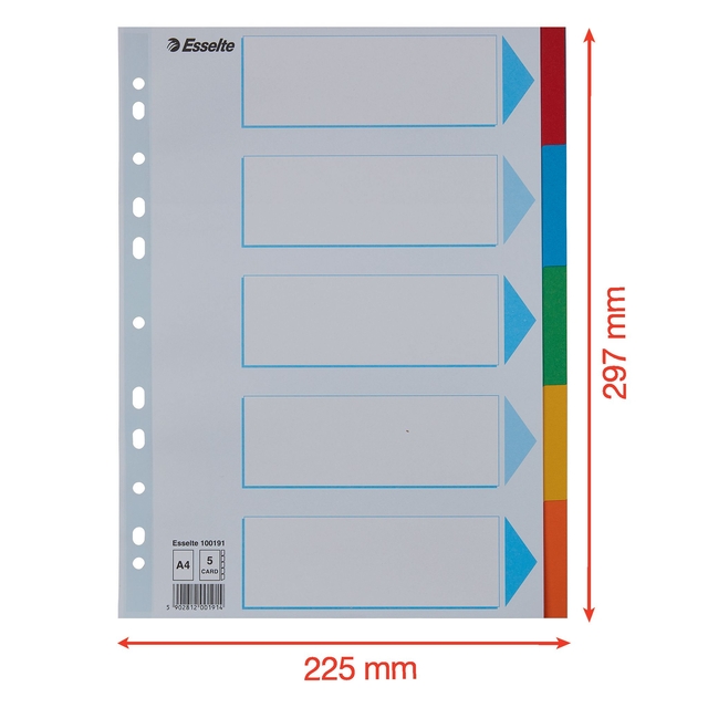 Tabbladen Esselte Standaard A4 5-delig karton 11-rings met voorblad assorti — Foto 2 von 2