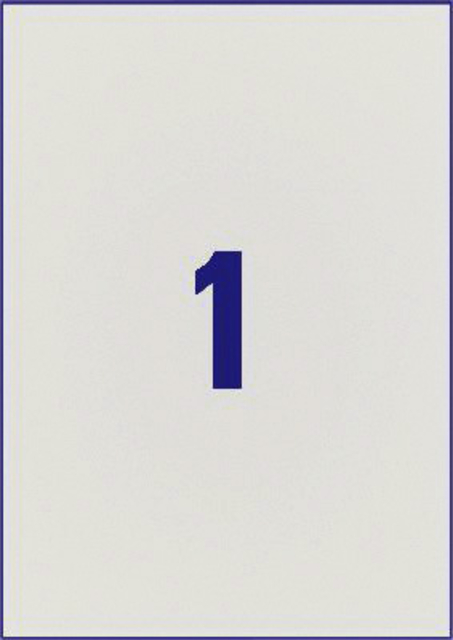 Etiket Avery L6013-20 210x297mm zilver 20 stuks — Foto 2 von 2